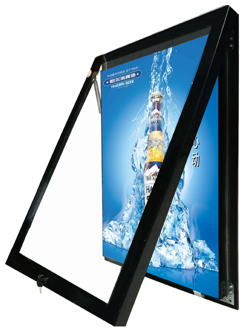 Wall Mount Outdoor LED Light Box